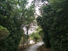 -仙人山公园