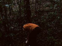 -宝界山林公园