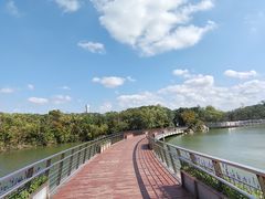 -上海吴淞炮台湾国家湿地公园