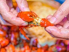 -赤甲皇(仙霞路店)