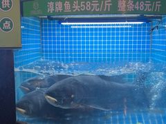 -千岛湖小鱼儿·淳安匠心农家菜