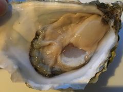 -广州四季酒店·佰鲜汇·现代法餐