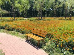 -天津武清北运河郊野公园房车露营地