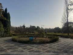 -洛阳市隋唐城遗址植物园