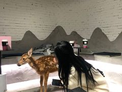 -浣熊柯尔鸭土拨鼠·电玩咖