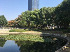 -后襄河公园