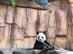 -泉州海丝野生动物世界