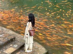 -楠溪江风景名胜区