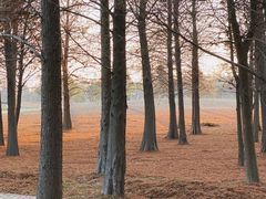-同里国家湿地公园
