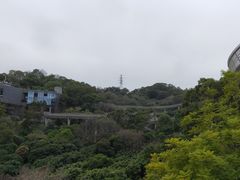 -福道