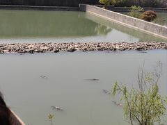 -南京汤山紫清湖生态旅游温泉度假区