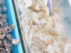 -港畔赶海蒸汽海鲜烧烤自助(仙螺岛店)
