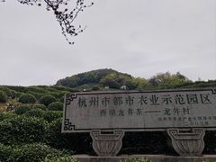 -龙井村