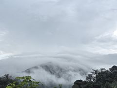 -天龙顶山地公园