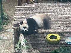 -大连森林动物园