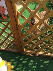 -萌宠亲子动物乐园(槐房万达店)