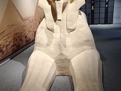 -上海博物馆