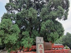 -四门塔风景区