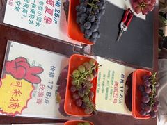 -马陆小张葡萄园农家乐