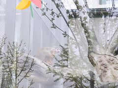 -天津市动物园