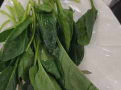 -芦月轩羊蝎子(太平桥店)
