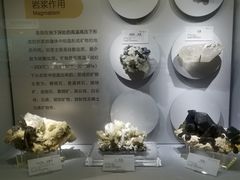 -湖南省地质博物馆
