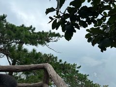 -罗田薄刀峰风景区