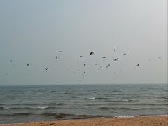 -南戴河旅游度假区