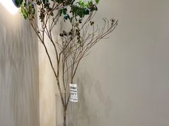 -初杏CrowXiey(九堡金堡街店)