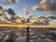 -北海金海湾红树林生态旅游区