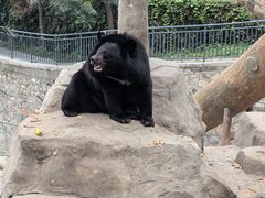 -石家庄市动物园