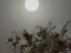 -铁手珈琲制造局metalhands(望京店)