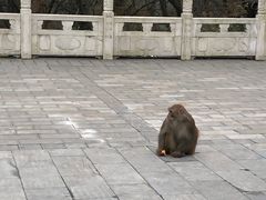 -句容茅山景区
