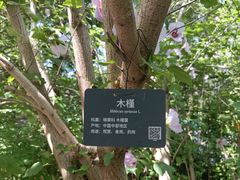 -香山公园