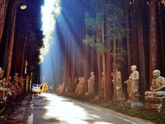 -武陵山森林公园