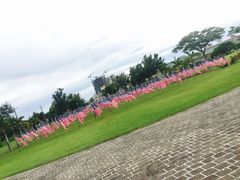 -美国纪念公园