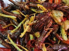 -石屏老字号4号包浆豆腐美食城(泼水广场店)
