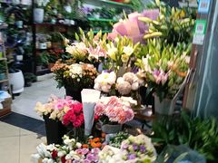 -花鸟鱼古玩市场