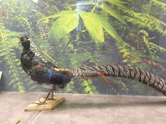 -下渚湖国家湿地公园科普馆