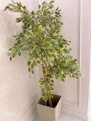 点击看大图 -谛融婚礼酒店·宴会厅(花园店)