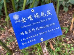 -中国科学院西双版纳热带植物园