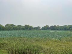 -上海市保健医疗中心