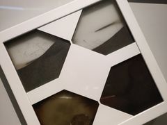 -正佳自然科学博物馆