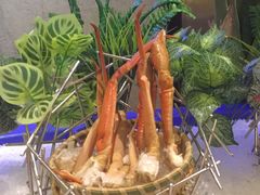 -广州万富希尔顿酒店·感趣自助餐厅·金秋蟹宴生蚝海鲜刺身