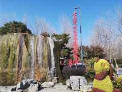 -合肥滨湖国家森林公园