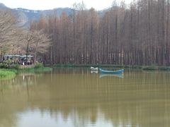 -佛冈森波拉度假区