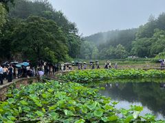 -韶山毛泽东同志故居