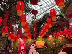 -正佳雨林生态植物园