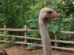 -大连森林动物园