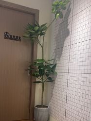 -小黑裙瑜伽·普拉提